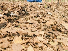 Sumptuous Muslim guy having joy outdoor