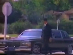 vintage bareback numbers