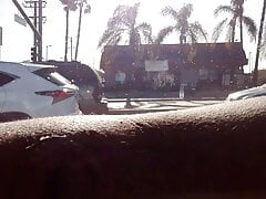 Taking my dick out on a public bus!