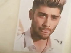 Zayn Malik cum tribute