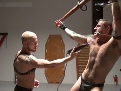 Xvideos, beards, turned on