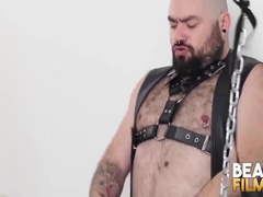 Tom Fox - Wild Bdsm Bareback With Bear Silian And