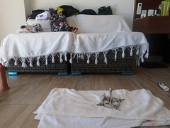 Sounding Penis, Bum Buttplug and Bunghole Open Up