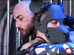 Submissive bitch in a mask dominated and pounded anally