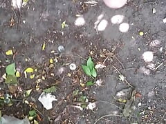 Pissing in the park and cock massage