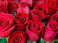 Gay porn, ai, hd videos