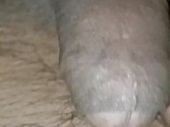 The hard cock