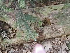 outdoor cumshot