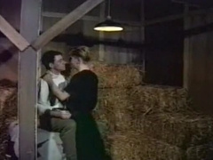 In the Barn