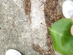 Masturbating and naked in public forest