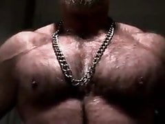 Bear in chains