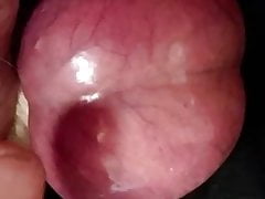 Tribute To Jasmine - Part 1