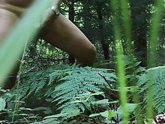 Solo in the forest