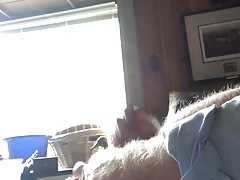 Cumshot