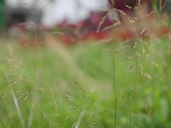 Pound & Pleasure gel - Enzo Muller, Arno Antino & Felix Trainor