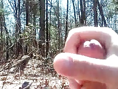 Dupont Forest jack