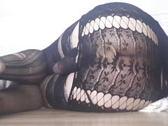 teaser anal virgin all in lace