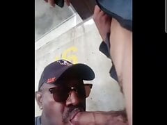 Daddies gives blowjob