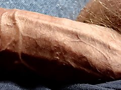Close up scan of cock shaft veins