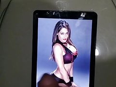 Nikki Bella Cum Tribute #1