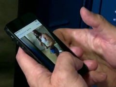 Enjoy the best of pumpappreciation: Anal, Blowjob, and more!