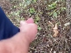 Walk in the Park