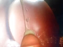 Ani Rocha cum tribute