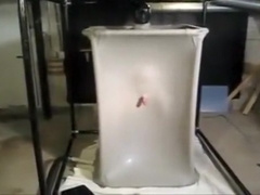 Vacuum Bondage
