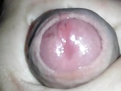 Pre cum
