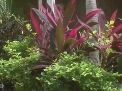 Mickey Collins - And Marco Rios (rm28 )