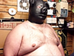 propper pig noise
