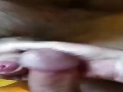Two cocks friends