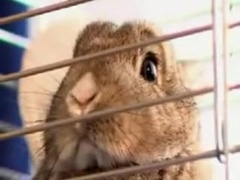 Fabulous male in horny bareback, uniform gay xxx scene