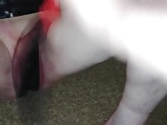 BDSM