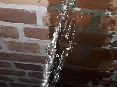 Brick Wall