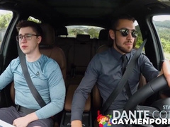 Next door studios - BREEDING THE BUYER