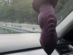 xTreme chilling roadtrip with my Bad Dragon XL Apollo