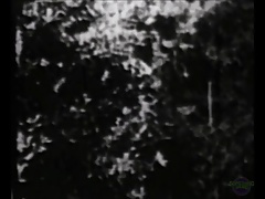 Chuck Connors purported loop