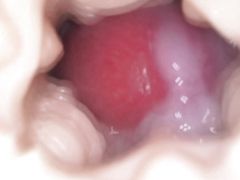 Cumming insight Fleshlight Compilation
