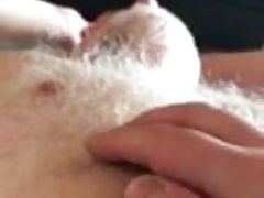 Urso