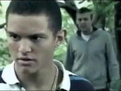 gaymainstream- shank