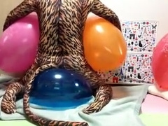 cat humping on balloon
