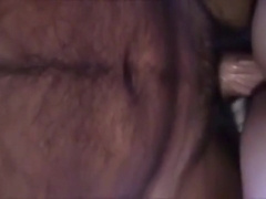 Parent Breeds Sons-In-Law Hottest Pal