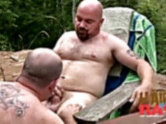 Will gulps And Lobo Al