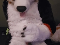 Elastrator Have fun with @AngryBarks Supreme Studs Get Neutered!