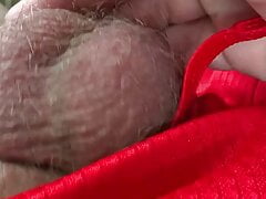 Cock balls