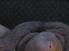 Cork inwards me made me spunk so supreme