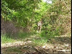 a walk in the woods
