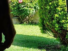 pee in sunlight