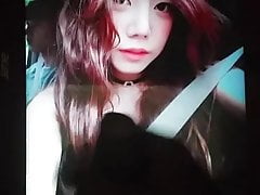 Apink Namjoo cum (tribute) #2